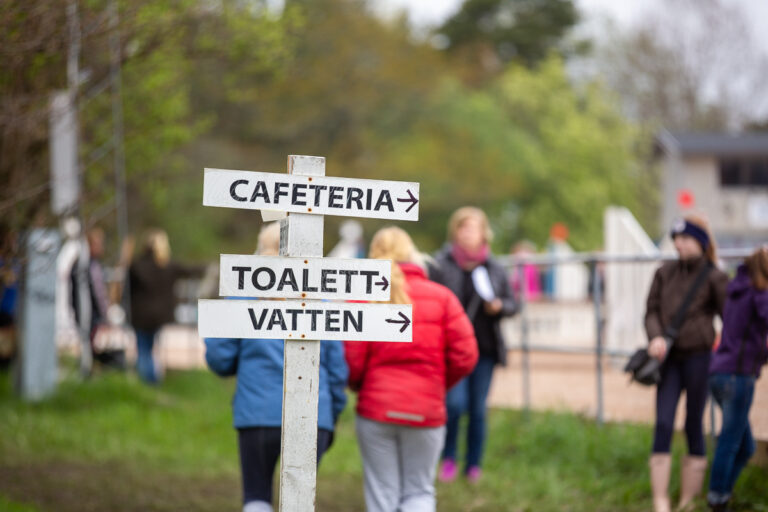 Jobba med AI på er webbplats