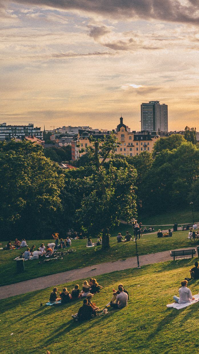 Picknick i parken en sommarkväll